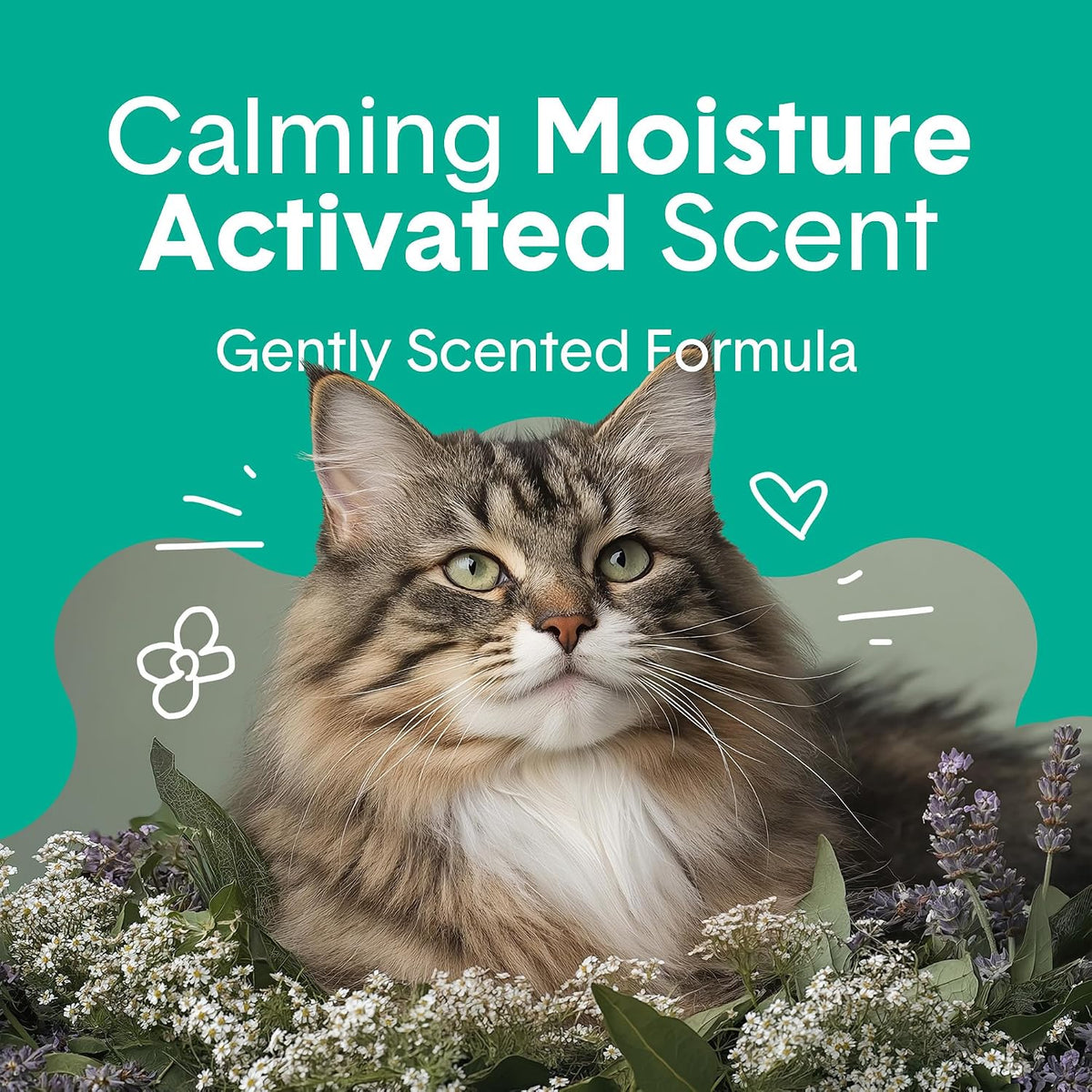 Boxie Premium Unscented Clumping Cat Litter 30+ Day Odor Control – Daily Care for Cats - Gently Scented / 40 lb - image 2