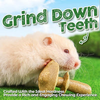 TEEWY 4PCS Guinea Pig Chew Toys, Prevent Teeth Overgrowth, Natural Vegetables and Timothy Grass, Hamster Chew Toys, Guinea Pig Toys, Chinchilla Toys, Grass Patch & Mushrooms
