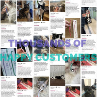 RYERCAT Set of 2 Dual Sided Cat Toothbrush - Kitten Toothbrush with Micro Head to fit into Cat/Kittens Mouth - Cat Dental Care Supplies - Pet Toothbrush for Cats(Amethyst Purple & Ocean Blue)
