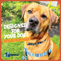 2 Hounds Design Freedom No Pull Dog Harness and Leash, 1" LG - Clyde / SM (Chest 20" - 24") - image 4