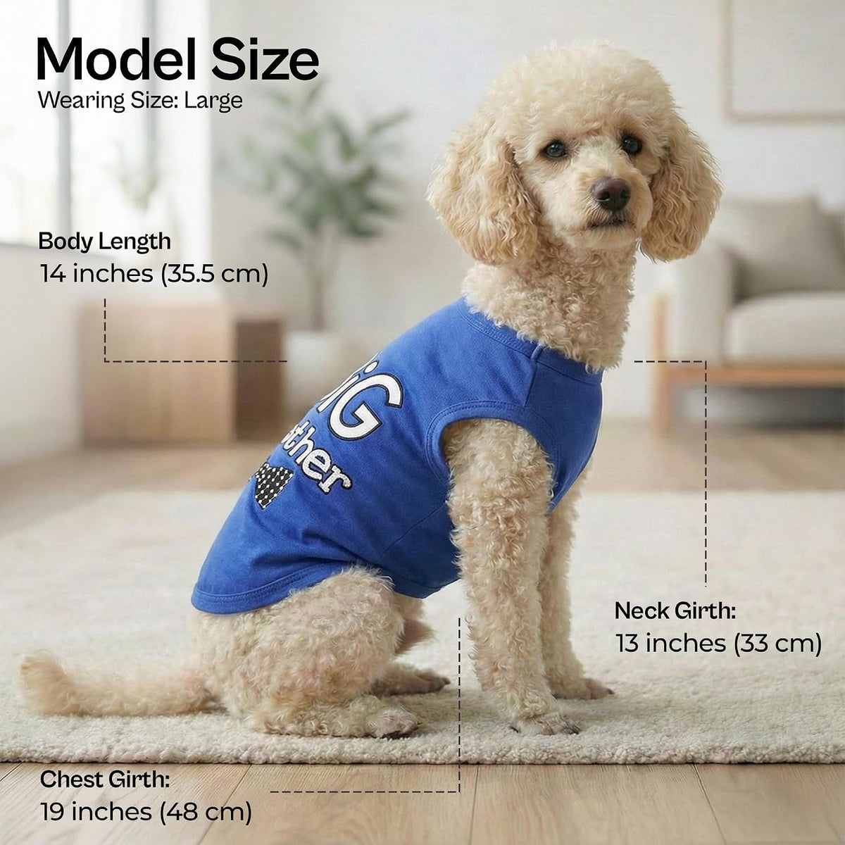 Parisian Pet Dog Shirt, 100% Cotton Shirts for Medium Dogs - Big Brother / Large (12-18lbs) - image 3