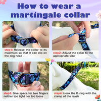 Hikiko Martingale Dog Collar Without Buckle - Navy Blue Flower / Large - image 2