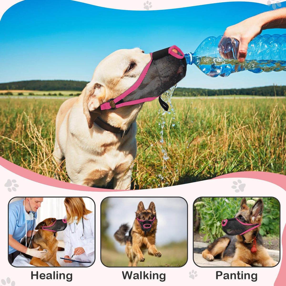 Dog Muzzle, Soft Air Mesh Muzzles for Medium Sized Dogs - Pink / S - image 3