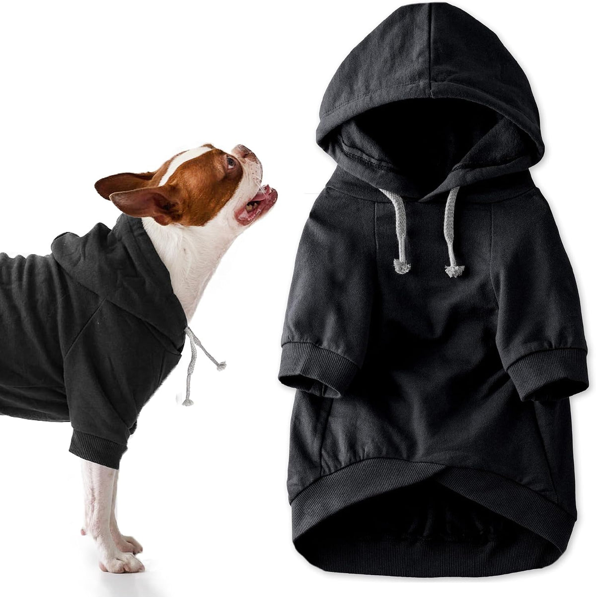 Pet Passion Rocky II Dog Hoodie - Black / X-Small (5-12 lbs)