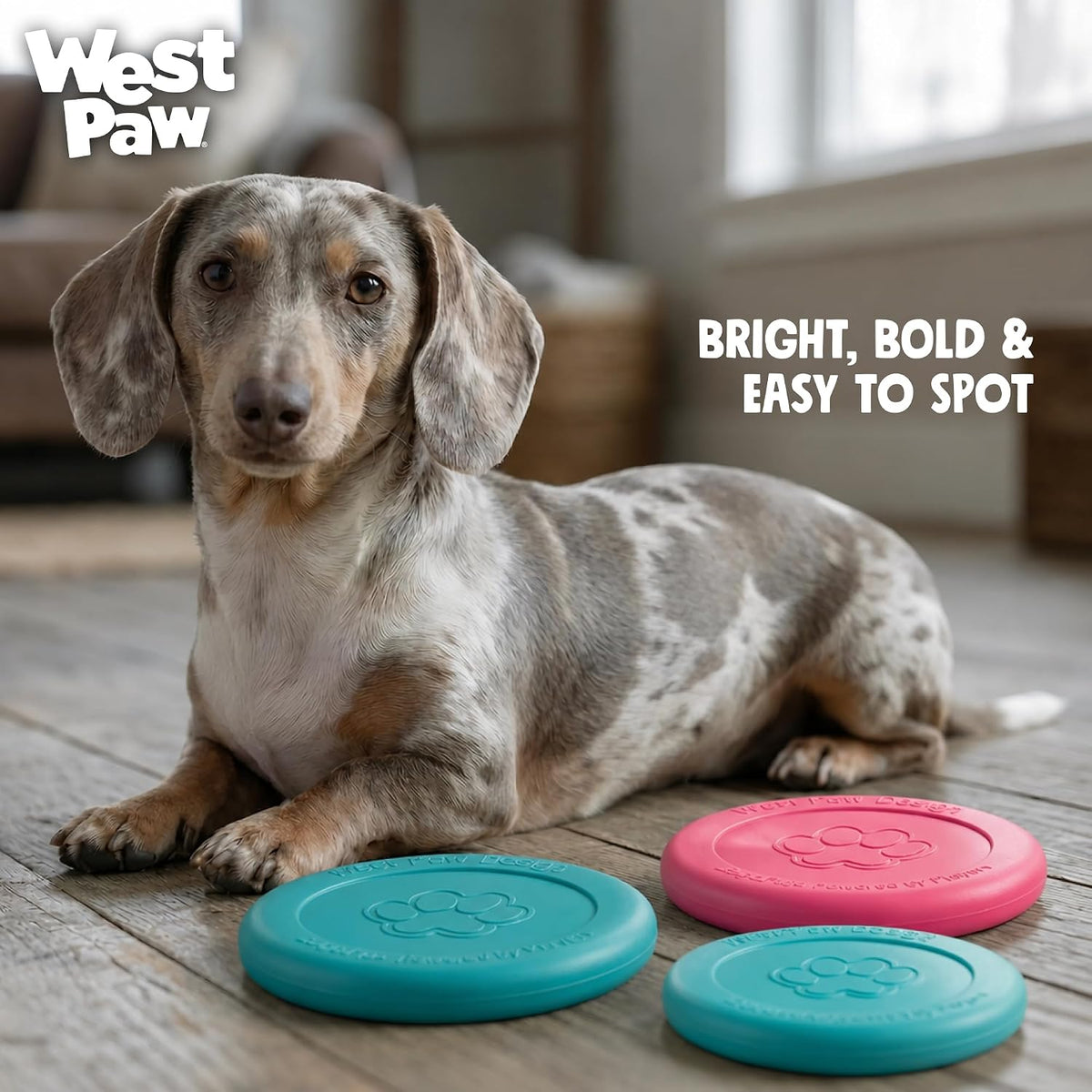 WEST PAW Zisc High-Flying Disc Dog Toy - Large / Teal / 1 - image 3