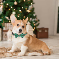 ADOGGYGO Fall Plaid Dog Collar 2 Pack, Thanksgiving Dog Bow Tie - Medium / Christmas Bow - image 3