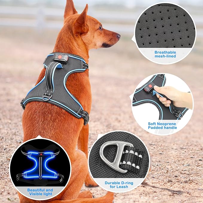 Light Up Dog Harness, No Pull LED Dog Harness with Handle, Rechargeable Lighted Safety Vest for Small Medium Large Dogs, Adjustable Soft Dog Lights for Night Walking