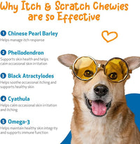 Pet Wellbeing Itch & Scratch Chewies for Dogs - Supports Healthy Itch Response to Occasional Skin Allergies, Skin Health, Chinese Pearl Barley, Phellodendron - Veterinarian-Formulated 90 Soft Chews
