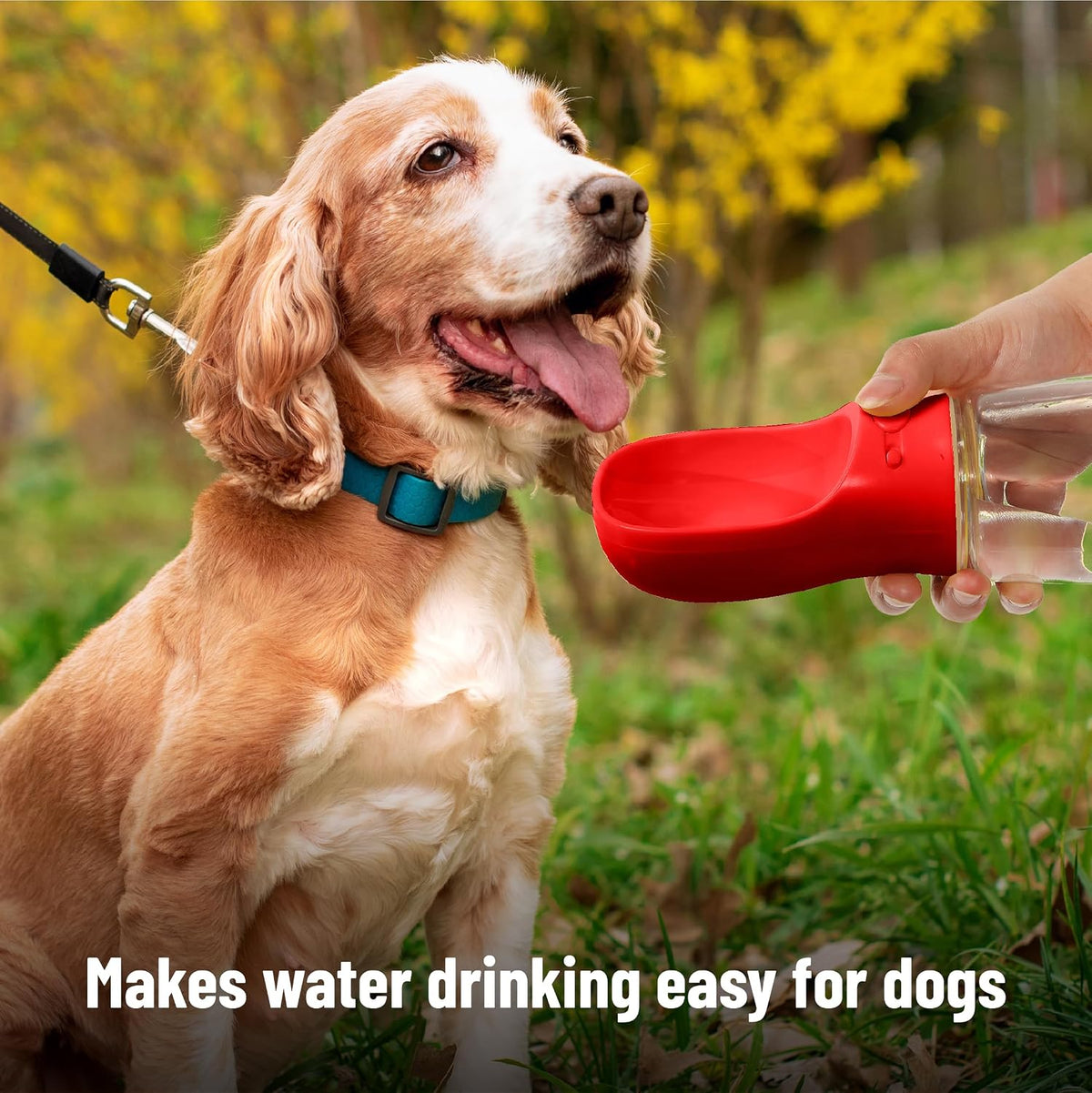 Mr. Pen, Portable Dog Water Bottle - Red - image 4