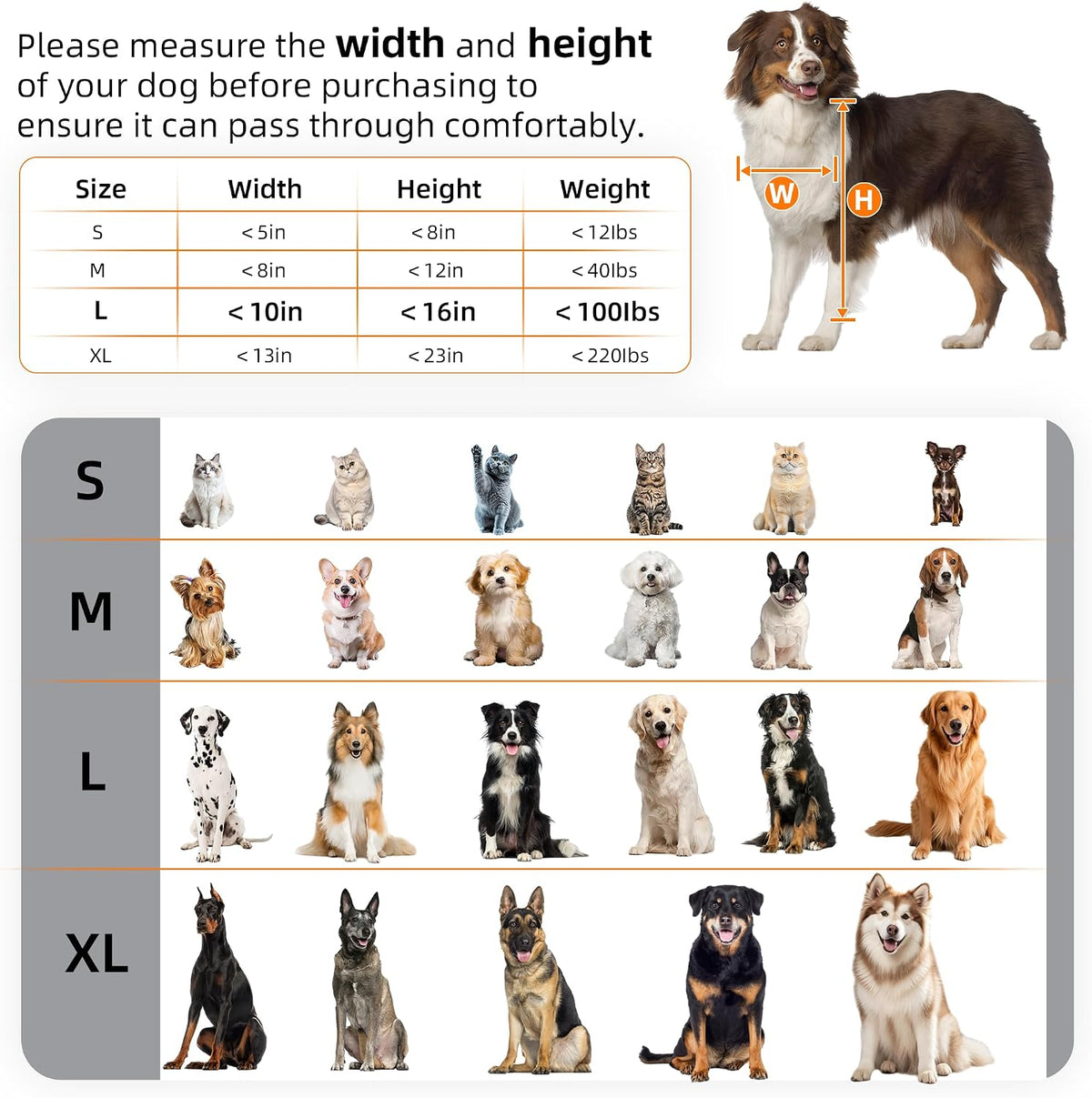 3-Flap Never Rust Extra Large Dog Door for Doors with Sliding Lock - Large / For Wall - image 4