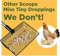 Premium Chicken Poop Scooper for Sand - Durable Chicken Coop Scoop Set - Sifting Shovel for Coop Cleaning - Metal Sand Sifter for Poultry Run - Poultry Litter Tools