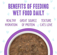 Weruva B.F.F. OMG - Best Feline Friend Oh My Gravy!, Best Day Eva! with Beef & Salmon in Gravy Cat Food, 5.5oz Can (Pack of 8)