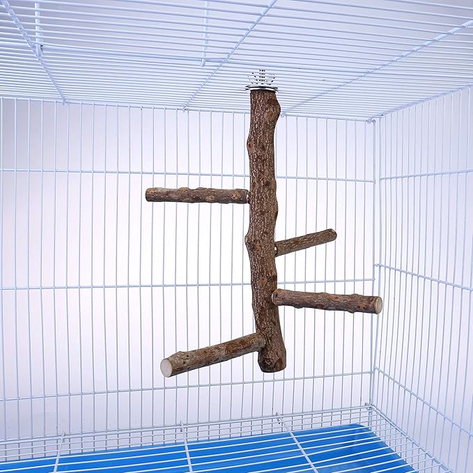Bird Perch Stand Toy, Natural Wood Parrot Perch Bird Cage Branch Perch Accessories for Parakeets Cockatiels Conures Macaws Finches Love Birds (M: 10" Length)