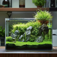 Vimvins 3 Gallon Glass Fish Tank - 3 Gallon - image 2