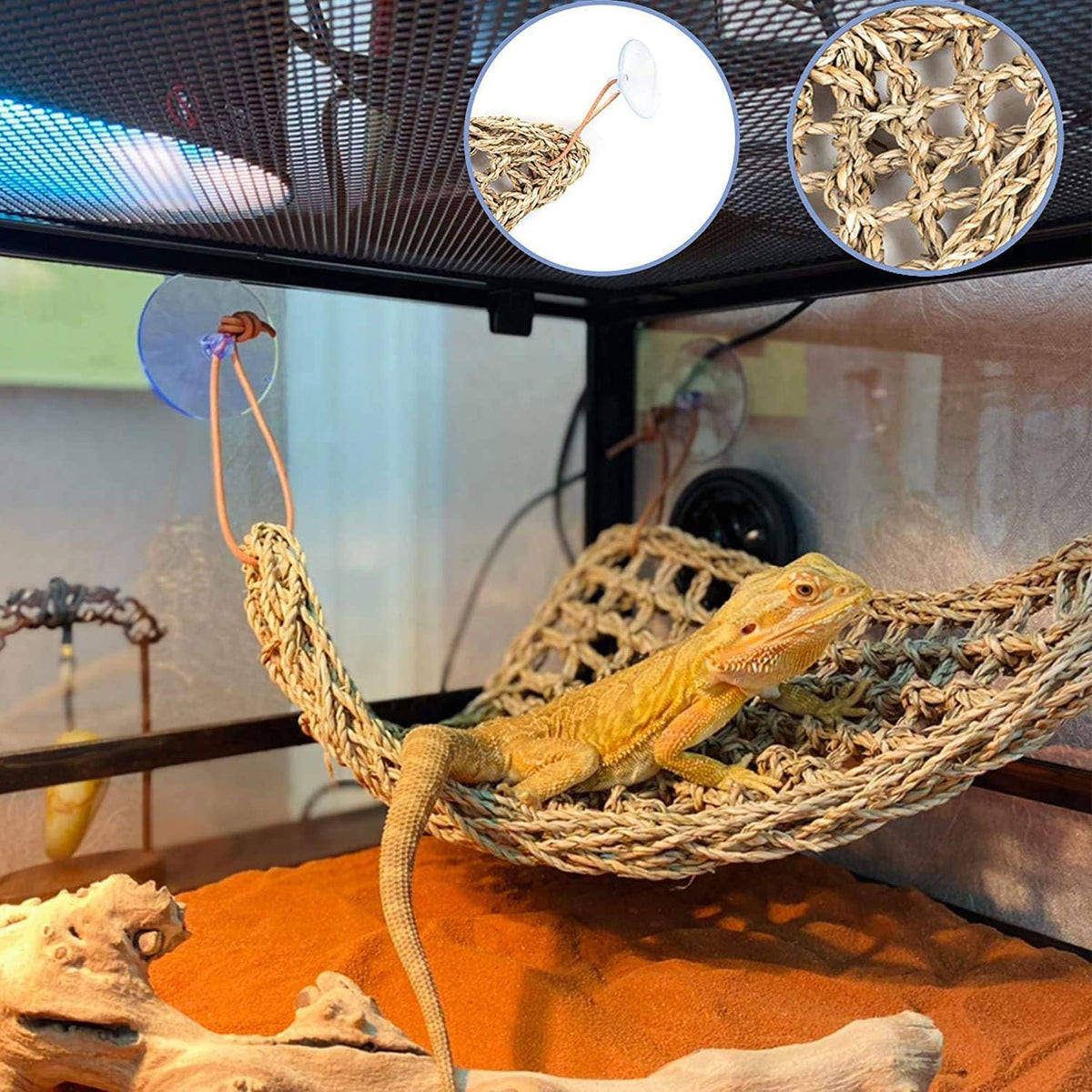 Reptile Plants for Bearded Dragon Tank Accessories - Group En - image 3
