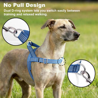 No Pull Dog Harness with Handle - Blue / S - image 2