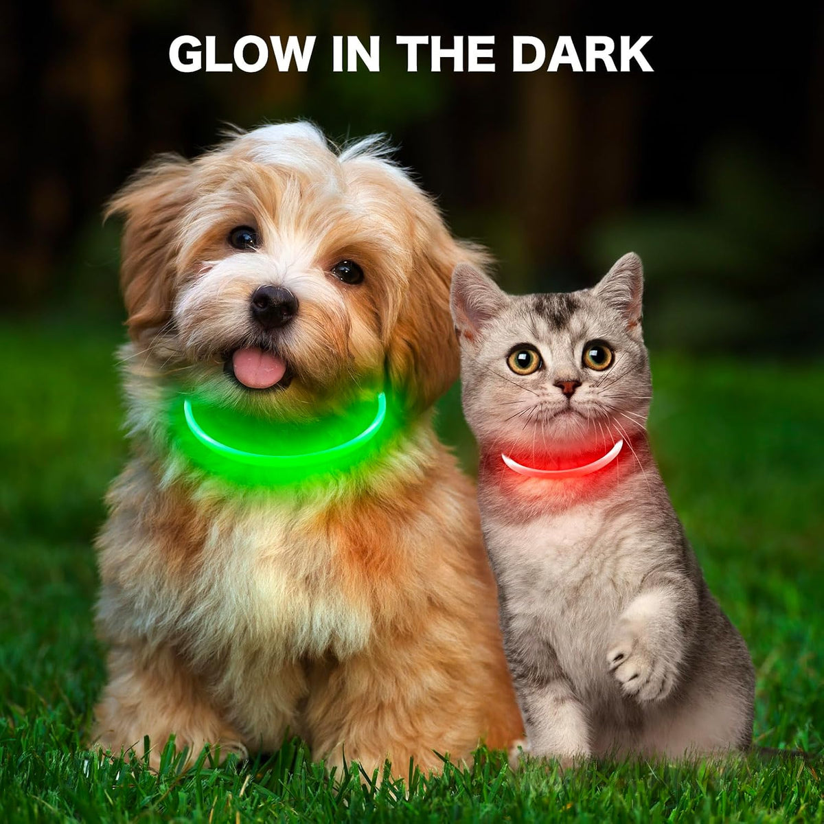 Light Up Dog Collar – Essentials for Dogs - XS-Red (40cm) - image 2