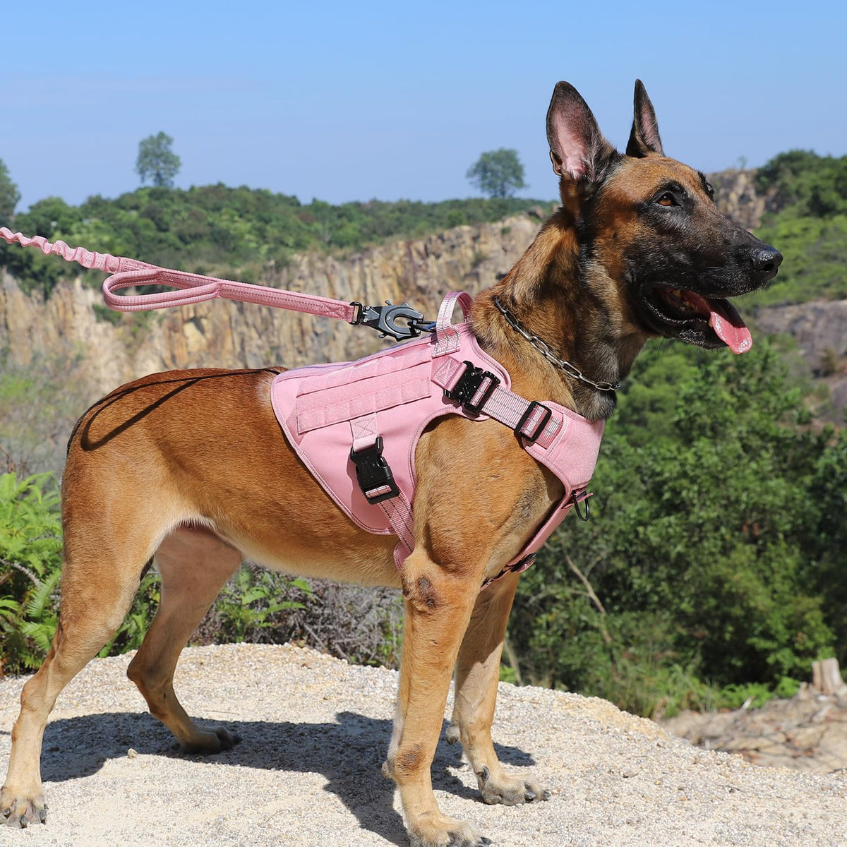 Tactical Dog Harness for Large Dogs, Reflective No Pull Dog Vest - Large (Pack of 1) / Pink - image 2