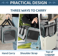 Cat Carrier American, United - 18.0"L x 11.0"W x 11.0"H - image 3