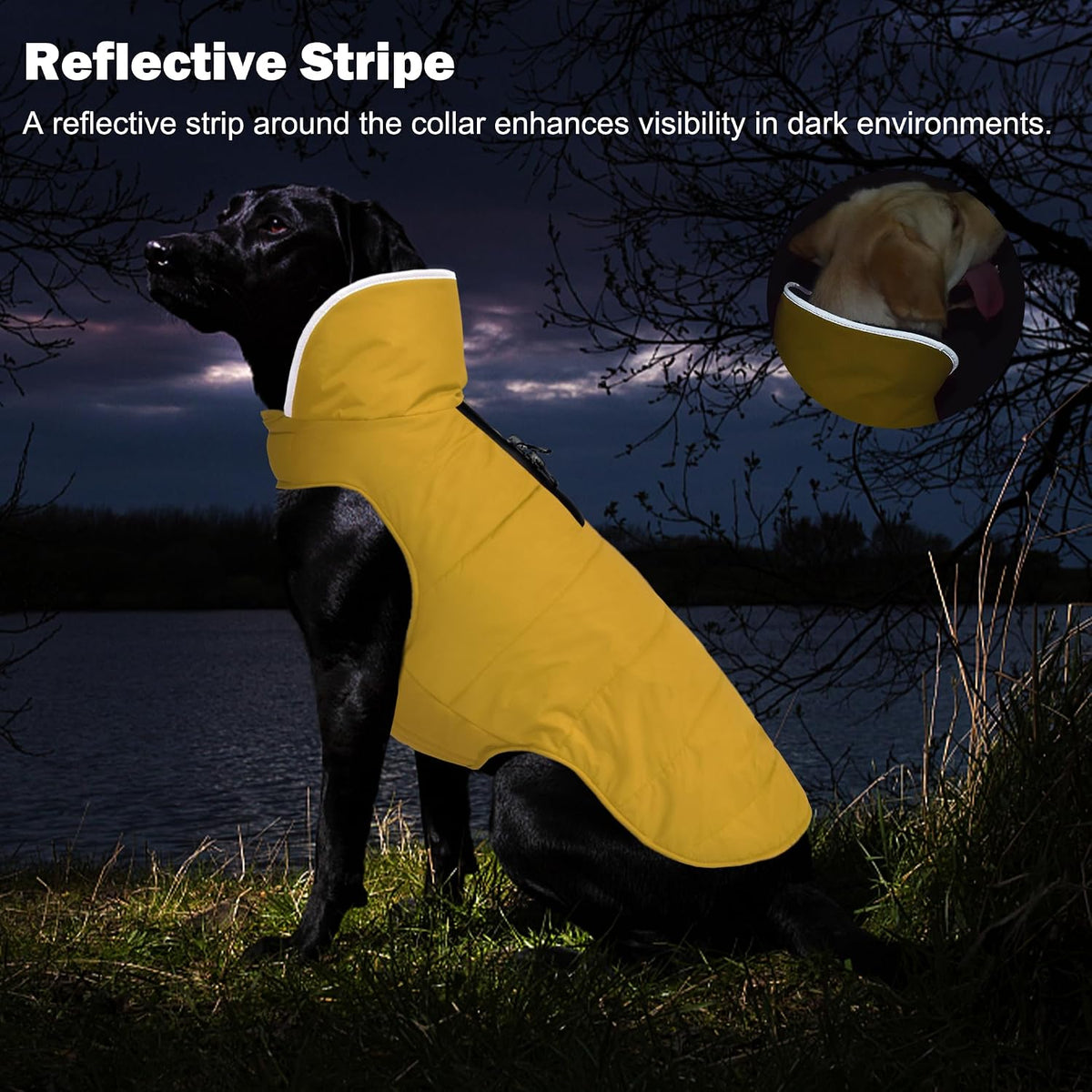 Waterproof Dog Winter Coat - Yellow / M(Chest Girth:16.1-20.1") - image 4