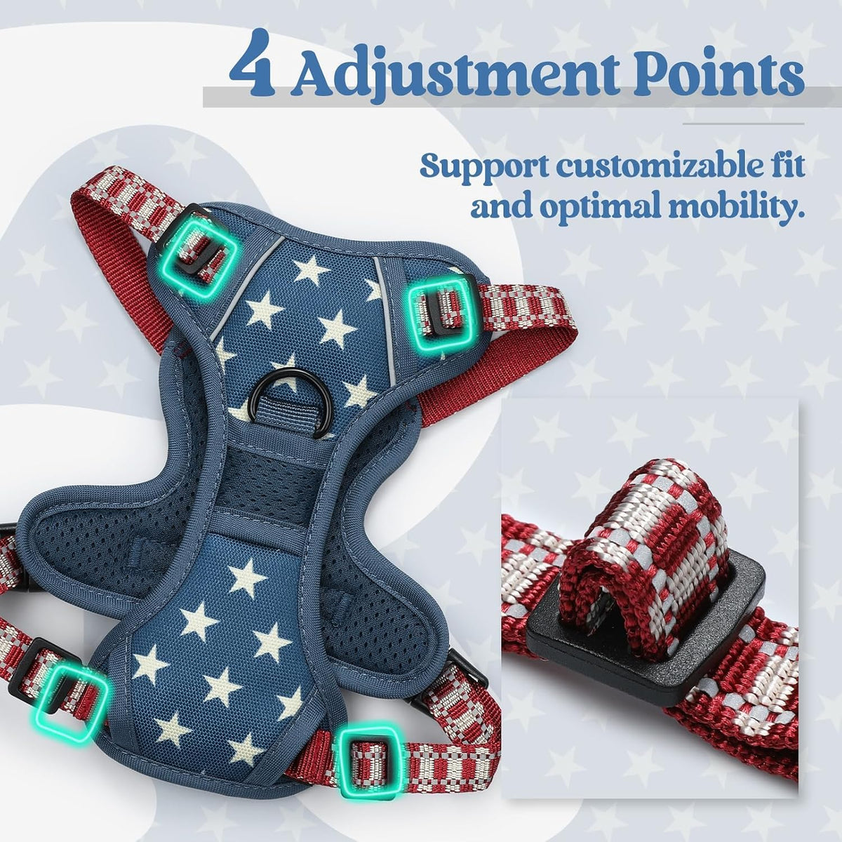 rabbitgoo Dog Harness, No Pull for Large Dogs with 2 Leash Clips - X-Small / Blue Star - image 4