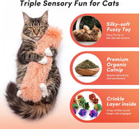 Catnip Cat Toys 4 Pack, Soft Cat Pillow Kicker Toys with Crinkle Sound, Interactive Cat Plush Toys - Orange Green Blue Pink - image 2