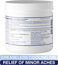 Mineral Ice Therapeutic Pain Reliever for Horses 16 Ounce