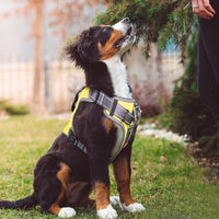 Fida Dog Harness, No-Pull Pet Vest with Saddle Bags Backpack - Medium (Neck:17"-23";Chest:22.5"-27") / Yellow - image 3