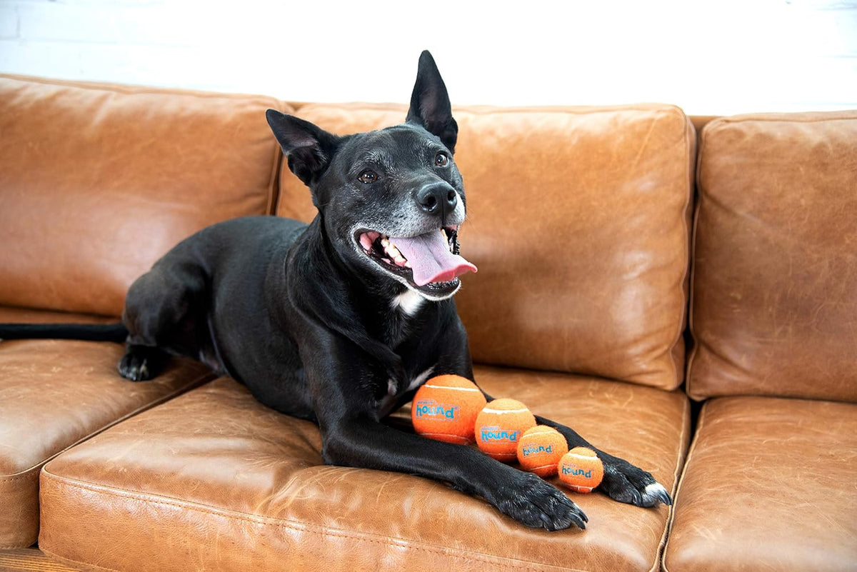 Outward Hound Squeaker Ballz Tennis Ball Dog Toy, 2.5", 4‑Pack - Multi Squeaker Balls / Medium / 6-Pack - image 2