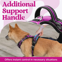 rabbitgoo Dog Harness for Large, No Pull 3 Buckles Easy On & Off – Essentials for Dogs - Purple / X-Large - image 4