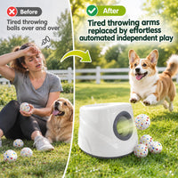 Automatic Ball Launcher for Dogs ，The Upgraded Premium Ball Thrower - Gray - image 2