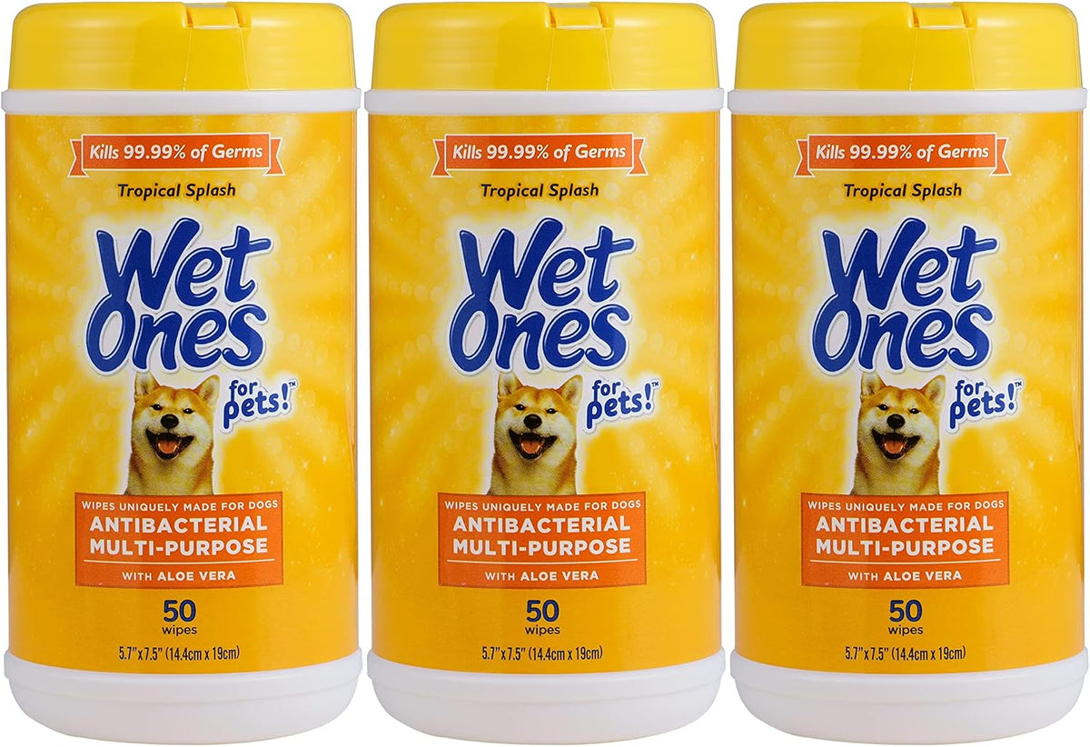 Wet Ones for Pets Antibacterial Dog Wipes - Tropical Splash / 50 Count (Pack of 3)