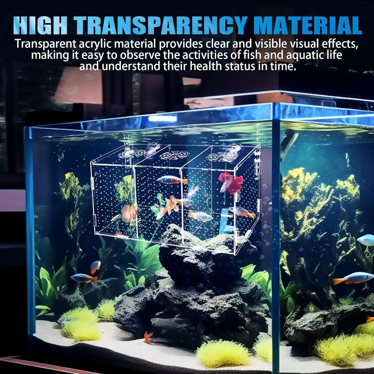 Fish Breeding Box, Acrylic Isolation Box Aquarium Hatchery Incubator with Suction Cups for Newborn - image 2