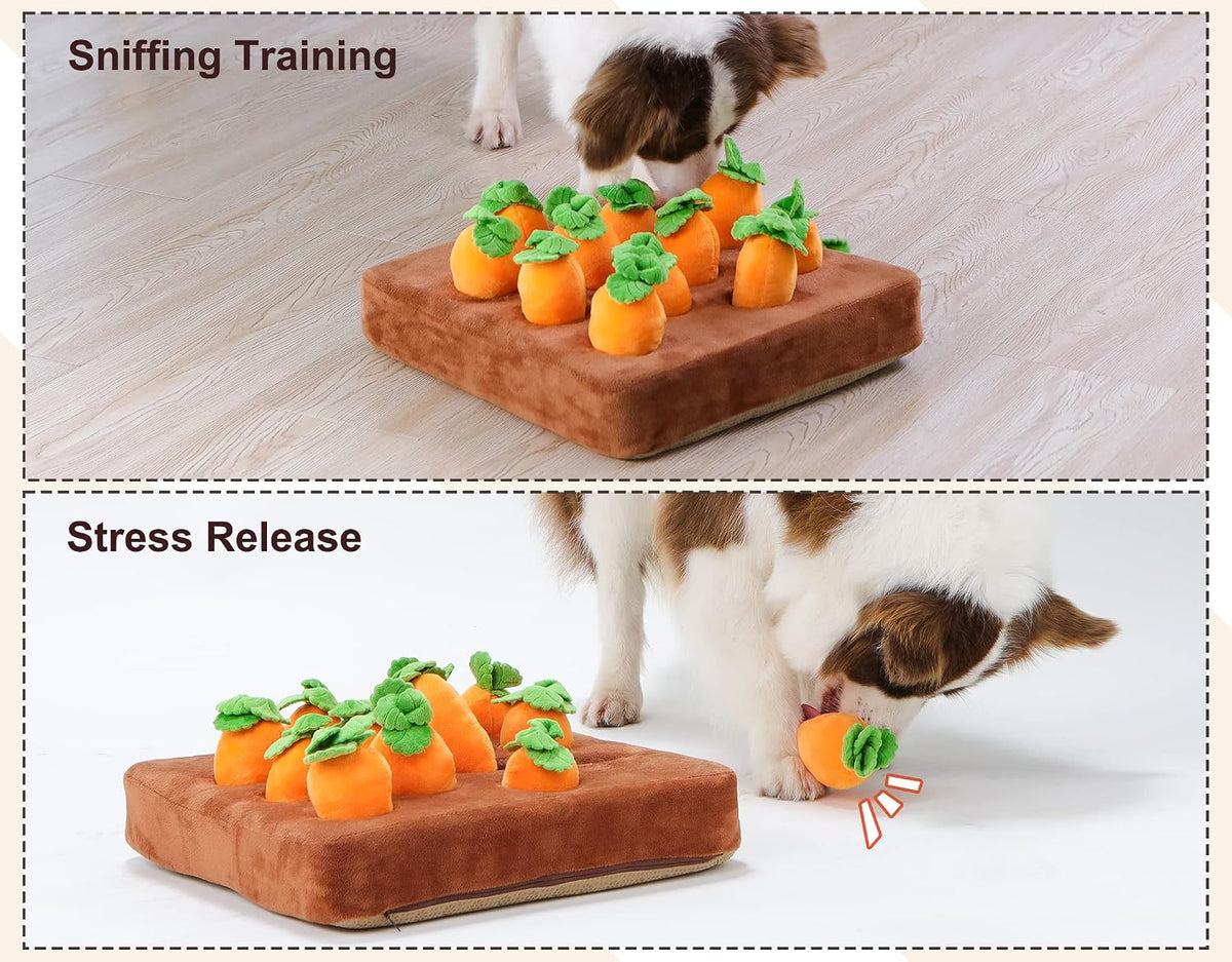 Snuffle Mat & Carrot Puzzle Toy for Dogs - SQUEAK - image 4