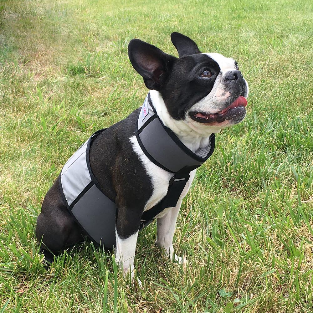 CoolerDog Dog Cooling Vest & Cooling Collar - S - image 4
