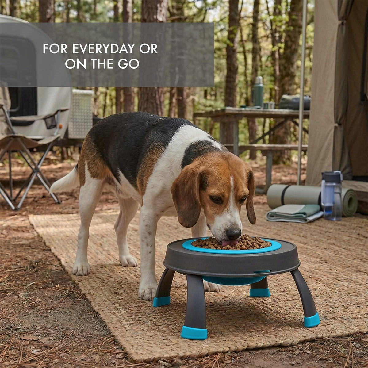 Dexas Pets Elevated Pet Feeder, 4 Cup Capacity - Large/4 Cup Capacity / Blue - image 3