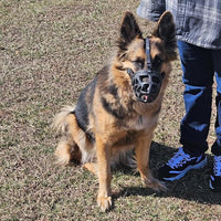 Mayerzon Dog Muzzle, Breathable Basket Muzzles for Small, Medium, Large and X-Large Aggressive Dogs Beagle German Shepherd Doberman, Cage Mouth Guard Stop Biting Chewing for Grooming Training