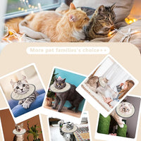 Lightweight Cat Cone Collar Soft, Soft Comfortable Cat Recovery Collar After Surgery, Elizabethan E Collar for Cats, Cone for Cats to Stop Licking (Khaki, Large)