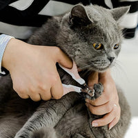 Mr. Pen Cat Nail Trimmer - Pink Cat Claw Clipper for Kittens & Small Dogs