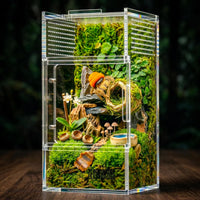 Jumping Spider Enclosure, Acrylic Terrarium Habitat for Spiders - 3x3x6inch