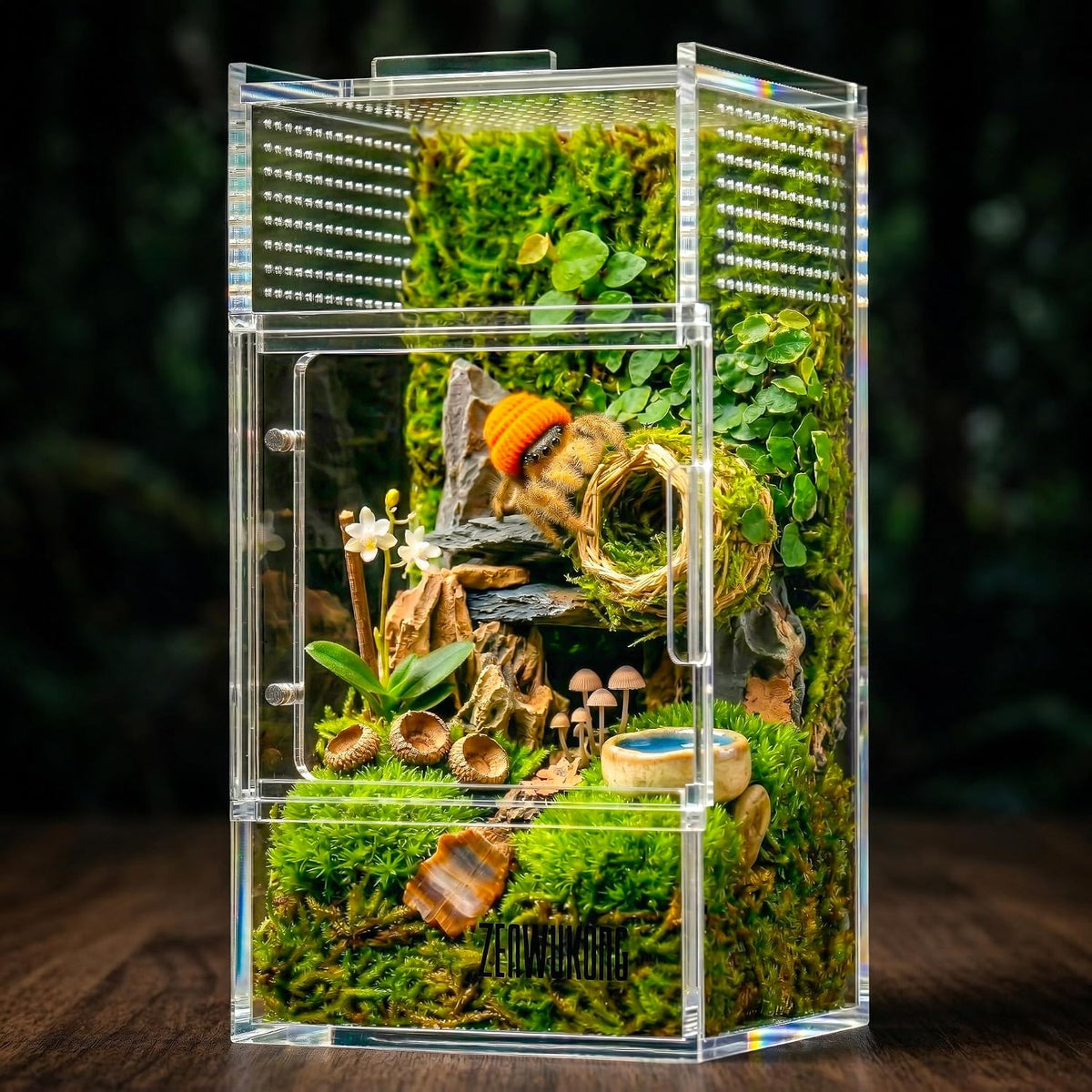 Jumping Spider Enclosure, Acrylic Terrarium Habitat for Spiders - 3x3x6inch