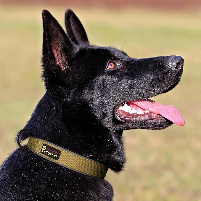Plutus Pet Tactical Dog Collar, Reflective, Adjustable Heavy Duty Dog Collar, Soft Padded and Comfortable, for Small Medium and Large Dogs (Brown, XS)