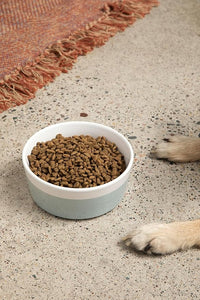 Waggo Dipper Ceramic Dog Bowl for Small and Large Breeds - Heavyweight and Durable Pet Food and Water Dish Crock, Dishwasher Safe, Modern (Cloud, Small)