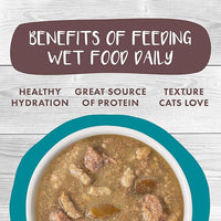 Weruva Classic Cat Stews!, Stew's Clues with Turkey, Chicken & Salmon in Gravy, 5.5oz Can (Pack of 8)
