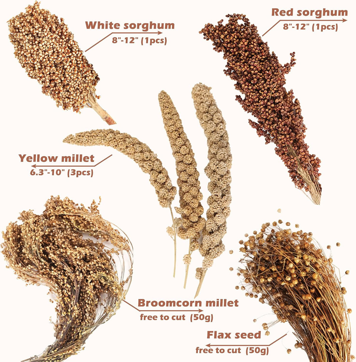 Natural Ear of Grain Flower&Herb Bedding Mate Habitat Decor - Grain - image 2