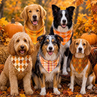 50 Pcs Halloween Dog Bandanas Bulk - 25.6 x 17.7 x 17.7 Inch / Fall Plaid / 200 - image 3