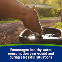 Farnam Apple Elite Electrolyte Supplement for Horses, Replaces Vital Minerals, Encourages Hydration, No Added Sugar, 7.5 lb, 40 Day Supply