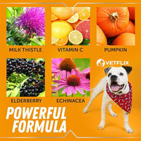 Allergy Immune Anti Itch & Hot Spots - Made in USA Natural Pet Supplement for Cat & Dog Allergy Relief with Turmeric & Milk Thistle -Seasonal Allergies Digestive Treatment for Dogs & Cats - 2 Fl Oz