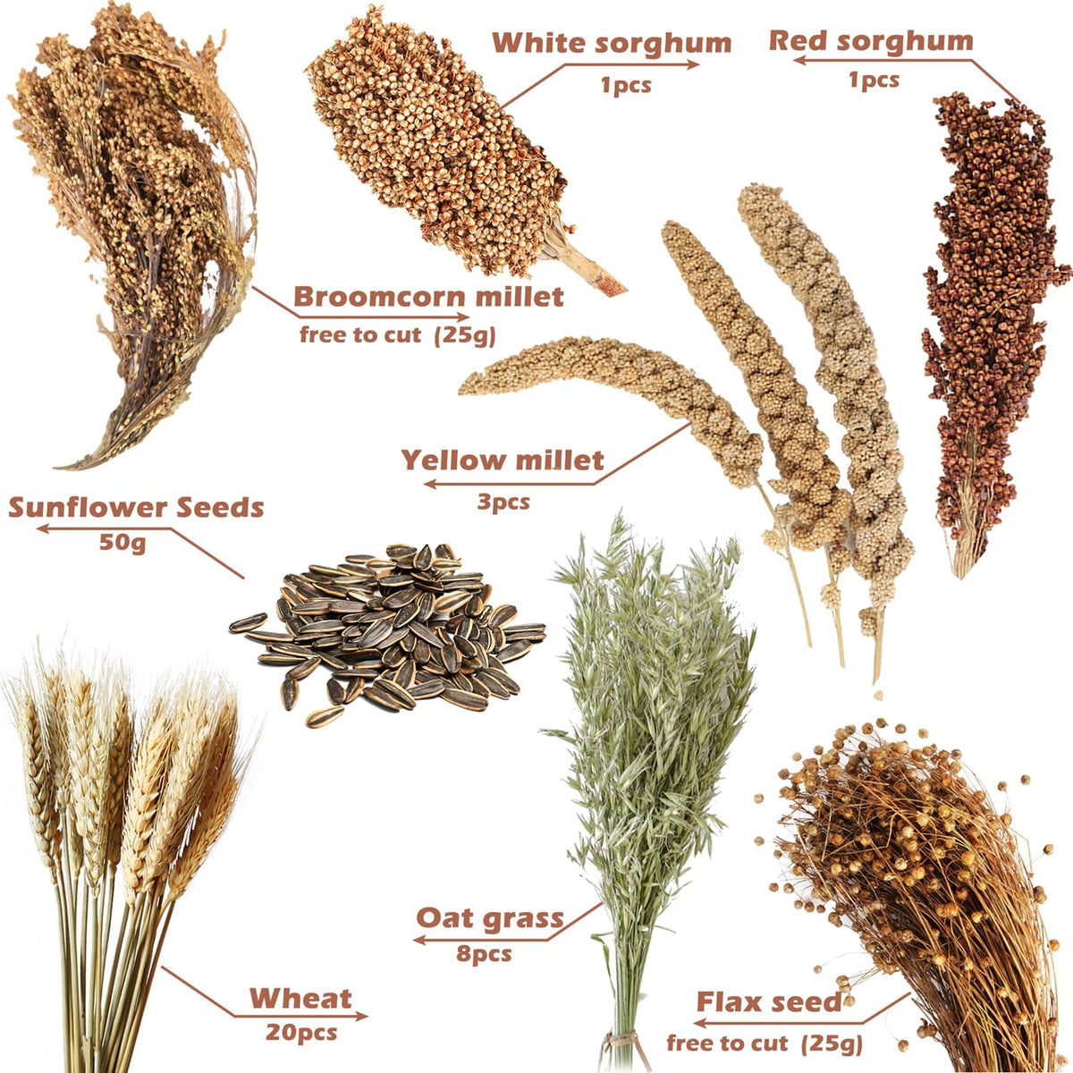 Natural Ear of Grain Flower&Herb Bedding Mate Habitat Decor - Harvest Wind - image 2