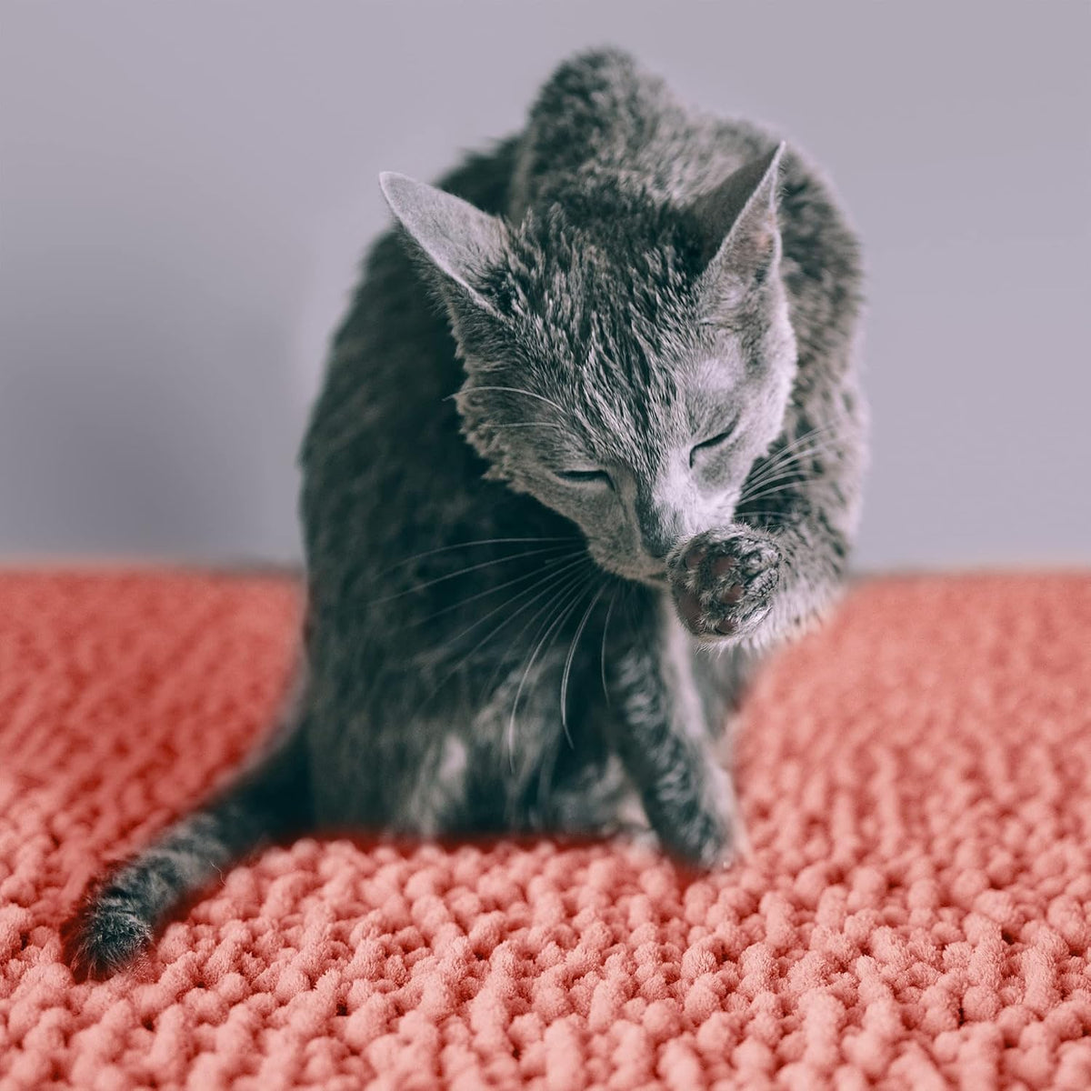CatGuru Cat Litter Mat, Waterproof Litter Box Mat - Coral/ Heavy-Duty / Medium - image 2